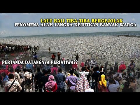 WARGA BALI GEMPAR!! JUTAAN IKAN BERLOMPATAN NAIK KE DARATAN DI PANTAI JIMBARAN!! PERTANDA APA??