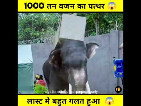 हाथी पर गिर गया 1000 टन भारी पत्थर ? क्या होगा अब #short #viralvideo #story