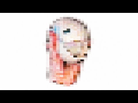 64 bits 32 bits 16 bits 8 bits 4 bits 2 bits 1 bit except Otamatones