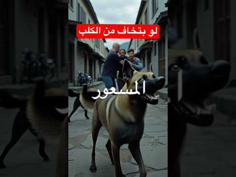 اتعضيت .. انا اسف 😂