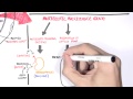 Bacterial Resistance Mechanisms and Structures