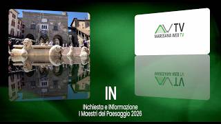 LANDSCAPE FESTIVAL BERGAMO 2026: Arte o Business? La nostra inchiesta. Ecco come sarà Piazza Vecchia
