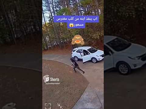 اب ينقذ ابنه من كلب  مفترس!😨