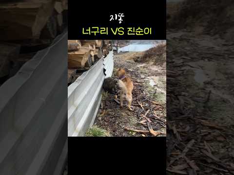 내 새끼는 내가 지킨다