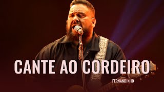 Cante Ao Cordeiro - As melhores Músicas Cristãs de Fernandinho - LOUVORES DIVIONS