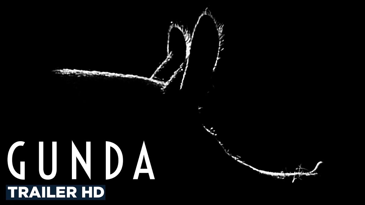 Gunda Trailer thumbnail