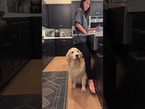 Just Some minor inconvenience in the way 😗!......#funny #shorts