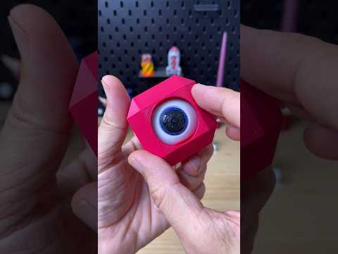 3D Printed Quick and Easy Print - Peek-a-Boo Pals