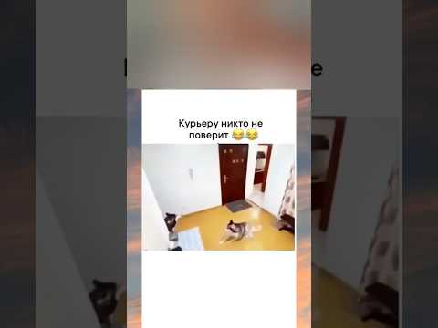 ЗАСМЕЯЛСЯ-ПОДПИСАЛСЯ! СМЕХ С ВОДОЙ 417😂😅 @КомментШоу