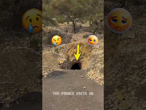 मम्मी 👰 गुफ़ा 🕳️ के अंदर गई फिर 😱 #shorts