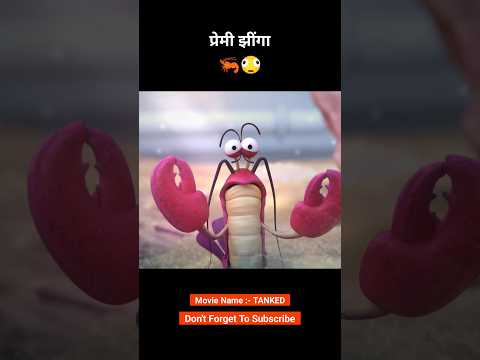Fight between the shrimp and the cook 😮😲 #animation #shorts