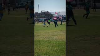 Leones del sur vs Villa Panamericana.