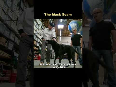 A perfectly disguised human mask.