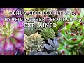 Plant Classification and Nomenclature