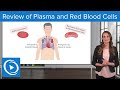Red Blood Cell Functions and Characteristics