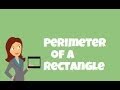 Understanding the Perimeter of a Rectangle