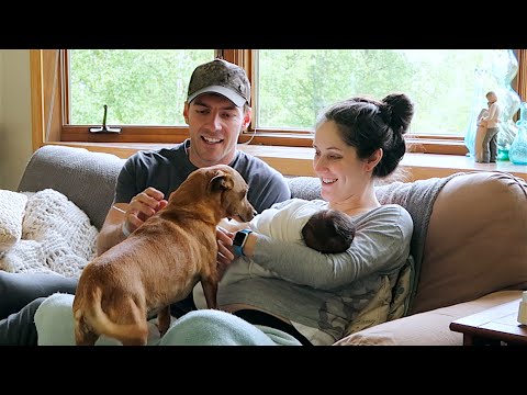 Pets Meet Baby For The First Time!