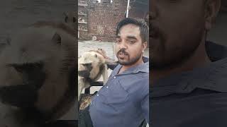Duniya ki sab se pyari awaaz 🥰 #azan #islamicvideos #islamicstutus #shortsfeed #quran #shorts #azma