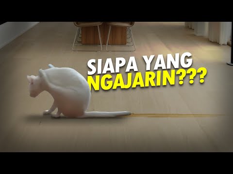 Tentang Perilaku Binatang #AlamSemenit
