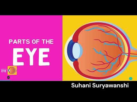 10th std Science Lenses EYE Parts of eye Explanation class 10 science EYE