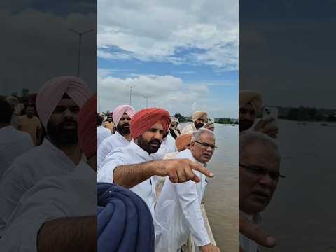 राहुल गांधी के बब्बर शेर पंजाब पहुंच चुके हैं ||#viralvideo #shortvideo #rahulgandhi #shorts #short