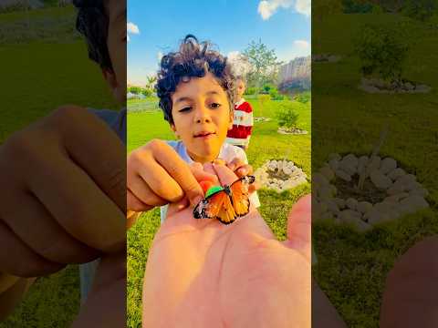 الفراشة الشقية كانت هتاخد المربيلا من البيبي😳😳😩😩