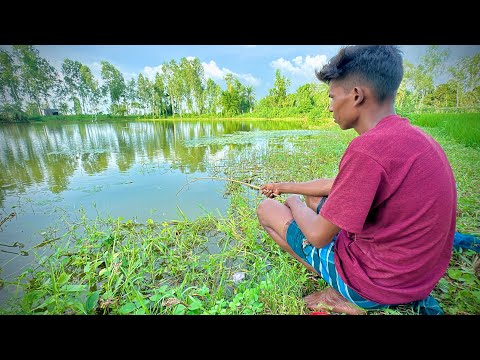 Best Fishing Video 🎣🐟 Fishing With Hook ~ Traditional Hook Fishing || Village Daily Life ( part-983)