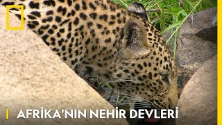 Afrika'nın Nehir Devleri | WILD