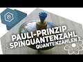 pauli-prinzip-spinquantenzahl/