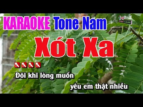 Xót Xa  2019 Karaoke 8795 | Tone Nam – Nhạc Sống Thanh Ngân