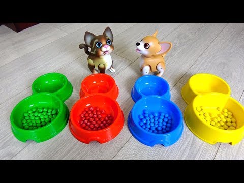 Having Fun with Toy Pets