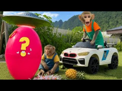 Monkey Bim Bim drives a race car : from UFO attacks to opening GIANT eggs - BABY MONKEY ANIMAL
