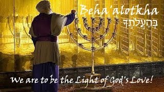 #36a Beha'alotcha - D'var Torah about the MENORAH and how it is a symbol of us being the LIGHT!