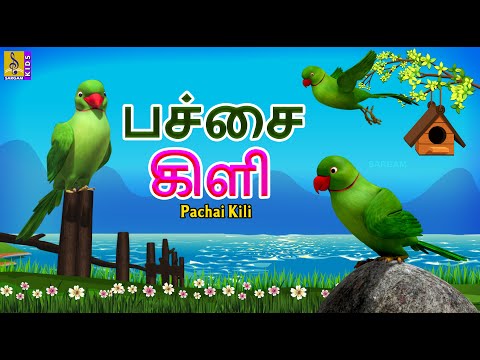 பச்சை கிளி | Pachai  Kili | Kids Animation Tamil | Kids Cartoon Tamil #tamil #kids #shortstory