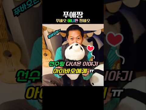 송바오 푸바오 만난 이야기 아이바오에게 ㅠ