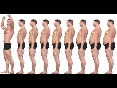 9 factores para la perdida de grasa y definición muscular