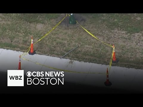 YouTube video thumbnail: Dozens of Massachusetts Students Stung by Yellowjackets on First Day of School