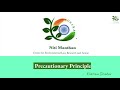 Precautionary Principle and Its Implications