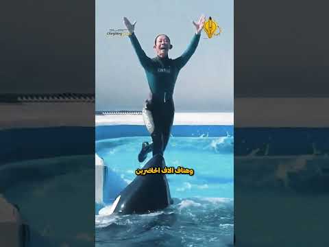 الحوت القاتل يمزق جيسيكا بطلة العالم أمام الجمهور في عرض ميامي المأساوي!
