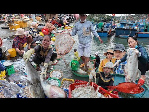 Cá Đuối Khổng Lồ Gây Sốt Chợ Cá Làng Nại – Dân Buôn Tranh Nhau Săn Hàng Hiếm!