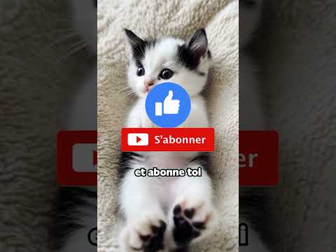 Qu'est ce que le Père va faire ?! 😱