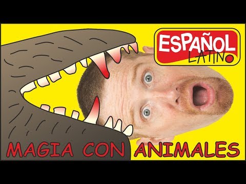 Magia Con Animales | Cuentos Para Niños | Aprender Con Steve y Maggie Español