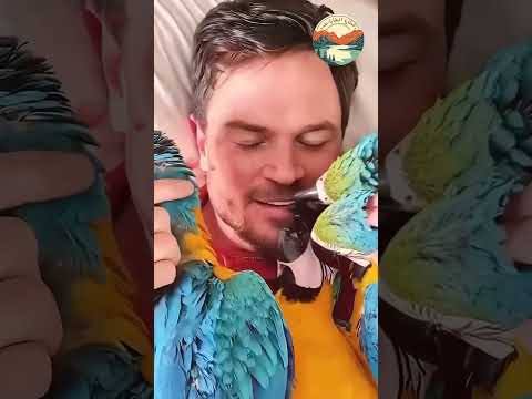 وجد رجل ببغاوات صغيرة شاهد ماذا فعل معها