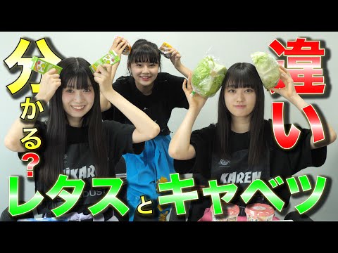 [Iginari Gundan] [Blindfold quiz] Do you know the difference between lettuce and cabbage?