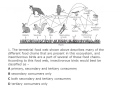 Labeling Food Webs and Trophic Levels