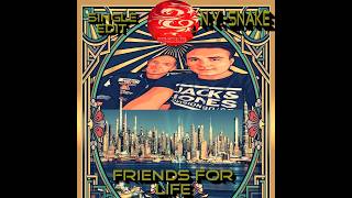DJ N.y.-snake - Friends for Life  Original Mix 2026