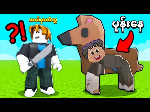 တိရစ္ဆာန် ပုံပြောင်းပြီး တူတူပုန်းတန်း ဆော့ပြီဗျို့😂❗ Animals hide and seek Roblox