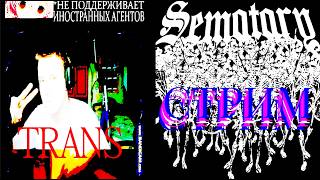 ПИСШЮ КОД И СЛУШАЮ ВСЯКИЙ КАЛ #SEMATARY #DMTBOY #DANILA