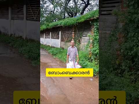 ബോംബൈക്കാരൻ#shorts#comedy#malayalam#funny#shortsfeed