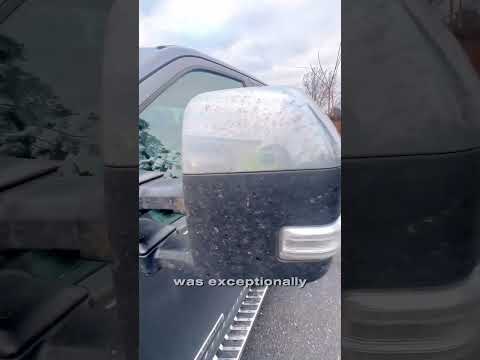 This customer doesn’t mind paying $1000 for the detail service #ceramiccoating  #carcleaning